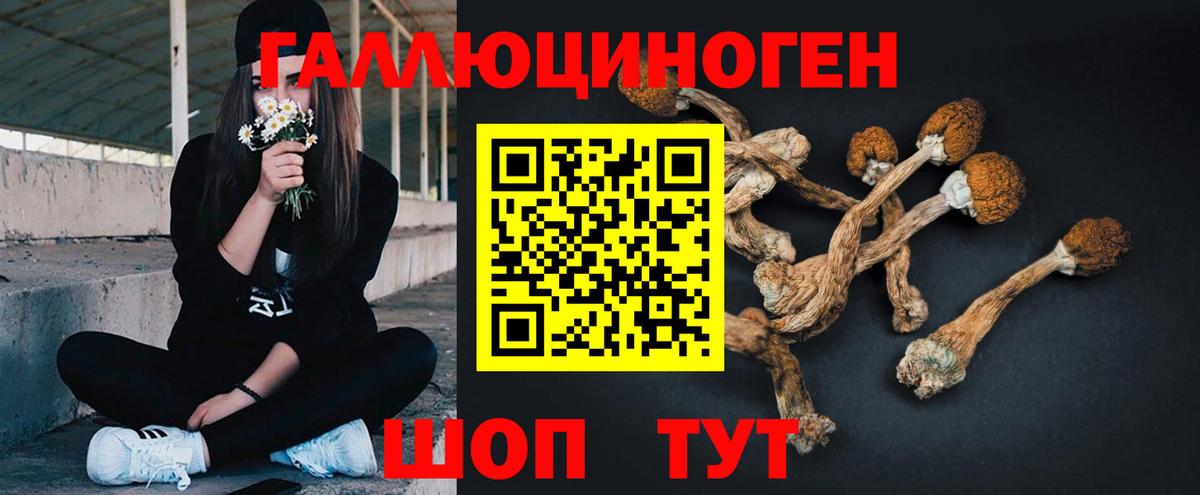 Галлюциногенные грибы мухоморы  Вход с VPN  Краснодар  Галлюциногенные грибы Psilocybine cubensis 
